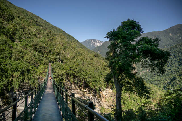 114-11-16  徐行縱谷板塊騎遇自行車活動 (253)