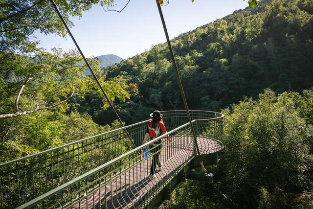 114-11-16  徐行縱谷板塊騎遇自行車活動 (232)